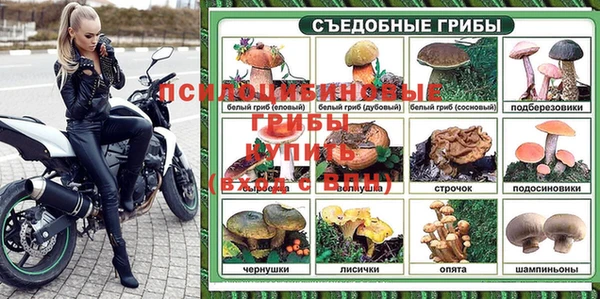 винт Липки