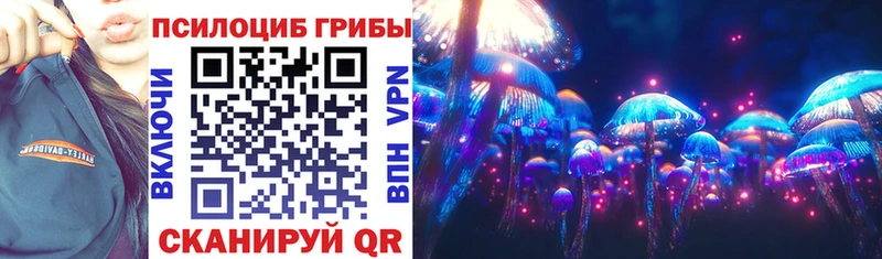 Псилоцибиновые грибы Psilocybe  Чадан 